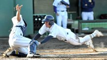 千葉黎明、決勝進出ならず　健大高崎（群馬）に０―６　秋季関東高校野球