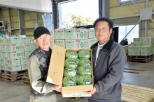 食感、甘み楽しんで！かんべレタスが出荷本格化　　館山・神戸地区