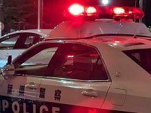 【速報】松戸で大型犬が逃走　体長80センチのサルーキー　警察が注意呼び掛け