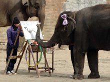 ゾウ４姉妹、達筆書き初め　長い鼻で器用にヘビ描く　市原ぞうの国