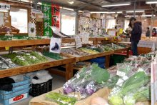 愛される「地域の台所」　少量多種農家の直売所　ごじゃ箱（いすみ市）　【ちばの元気企業】