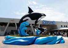 鴨川シーワールド、市民の入館無料に　２月１１日　露店、抽選会も