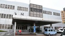 【速報】いなくなった大型犬見つかる　松戸の路上　体長８０センチのサルーキー