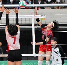 春の高校バレー開幕　習志野、女子競り勝ち　男子は初戦で涙