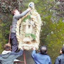「大男いるぞ」存在示し厄よけ　大わらじ作り　集落境に「綱つり」　富津