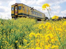 ＳＮＳに黄色い写真を　＃拝啓いすみ鉄道様　続く運休、キャンペーンで支援