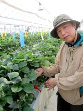 農業に最新ＩＴ技術駆使　さんたファーム（千葉市若葉区）　【輝く！千葉の企業　日本政策金融公庫レポート】（１２１）