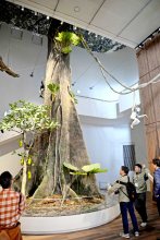 熱帯雨林への理解深めて　動物科学館改修、２９日オープン　千葉市動物公園　大人も楽しめる「エコツアー」