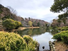 緑地、水辺豊かな“回廊”　公園点々、聖地巡礼も　北国分駅・矢切駅（北総線)　【駅から２kmのおもしろ散歩　千葉地理学会】