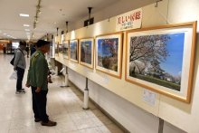 菜の花といすみ鉄道、雲海の九十九谷…　写真展「美しい房総」２４点、そごう千葉店で５日まで