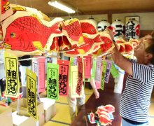 鮮やかな赤社殿にずらり　鯛ちょうちん製作佳境　７月夏祭り、４００個配布　茂原・八坂神社