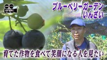 笑顔を育むブルーベリー園　元小学校教諭の新たな挑戦　気になるあの記事を「ツイセキ！！」　千葉日報×Ｊ：ＣＯＭコラボ第２３弾