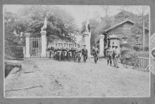 陸軍連隊の記憶残す　モッコクに兵士刻む文字　佐倉城址公園　【戦後８０年ちば　記憶宿る地を訪ねて】（３）　