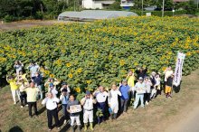 地域彩る復興支援の大輪　福島の種でヒマワリ４７００本　匝瑳