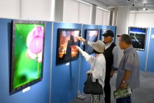 自由な感性、作品に宿す　東庄２１日まで愛好家写真展