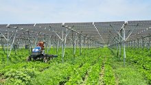 畑の上で太陽光発電　売電収入、地域に還元　ＴＥＲＲＡ（匝瑳市）　【ちばの元気企業】