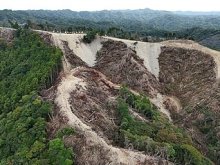 【詳報】鴨川メガソーラー、未許可の森林で伐採　工事の一時停止を公表　熊谷知事も現地視察の意向