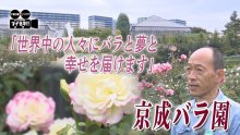 コロナ禍で休園…　京成バラ園復活へスタッフたちの挑戦　気になるあの記事を「ツイセキ！！」　千葉日報×Ｊ：ＣＯＭコラボ第２６弾