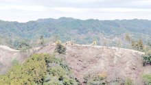 【鴨川メガソーラー問題】許可範囲外の伐採、２・４ヘクタールに拡大　さらに１１カ所で発覚　熊谷知事、条例制定も検討
