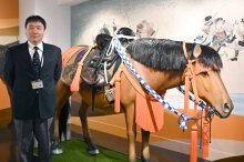 武士支えた小さき体　千葉市立郷土博物館　名産地の房総、幕府に献上　【房総うま物語】（２）