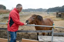 セラピーホース“勉強中”　ひーちゃん、笑顔のために　船橋５歳の木曽馬　【房総うま物語】（９）