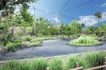 暮らし魅せる空間に　千葉市動物公園、開園５０周年へ３エリア整備　ハシビロコウ、アジア初繁殖目指す