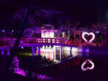 湖面に映えるハート　茂原公園ライトアップ　「冬の七夕」３月４日まで