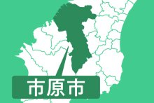 【速報】体長約１・２メートル、秋田犬のミックスが逃げ出す　市原、警察が注意呼びかけ