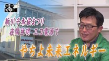桜まつりのライトアップ、エコ電源で支える　気になるあの記事を「ツイセキ！！」　千葉日報×Ｊ：ＣＯＭコラボ第３０弾