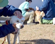 受刑者更生へ保護犬と交流　償いの日々、命に向き合う　円滑な社会復帰向け意義も　市原刑務所でプログラム試行　【千葉インサイト】