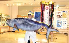 「さかなクンギャラリー」一新　渚の駅たてやま「ぜいたくな海」紹介　イラストや動画など新たに１５０点