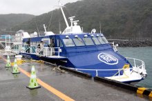 館山―千葉より近い！？　季節航路結ぶ“隣町”伊豆大島　名物ツバキ、元は「防風林」