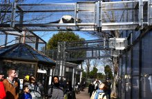 空中歩くサルにわくわく　「おさるーむ」市川市動植物園に新施設　２０日オープン