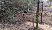 箱わなをデジタル化　富里市隊員の見回り負担軽減