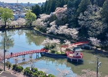茂原の名所で「桜まつり」　２８、２９日　プレイベントも