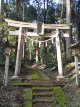 江戸時代からスギ産地　文人支えた蕨真一郎　日向駅（総武本線）　【駅から２ｋｍのおもしろ散歩　千葉地理学会】