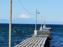 木製の原岡桟橋、景観人気　戦国時代伝える岡本城跡　富浦駅（ＪＲ内房線）　【駅から２ｋｍのおもしろ散歩　千葉地理学会】