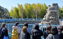 サル山の観覧規制拡大　「撮影全面禁止」も議論に　着ぐるみ男侵入事件受け　市川市動植物園