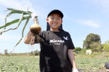 たまねぎ狩り今年も盛況　みずみずしさ甘さ味わう　千葉県内外で人気、来訪早めに！　白子