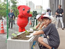 緑のカーテンで夏も安心　千葉県庁舎、児童がアサガオ植え