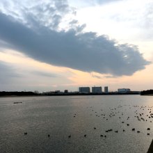 生き物豊か谷津干潟　「巨人軍発祥」の閉園遊園地　谷津駅（京成本線）　【駅から２Kｍのおもしろ散歩　千葉地理学会】