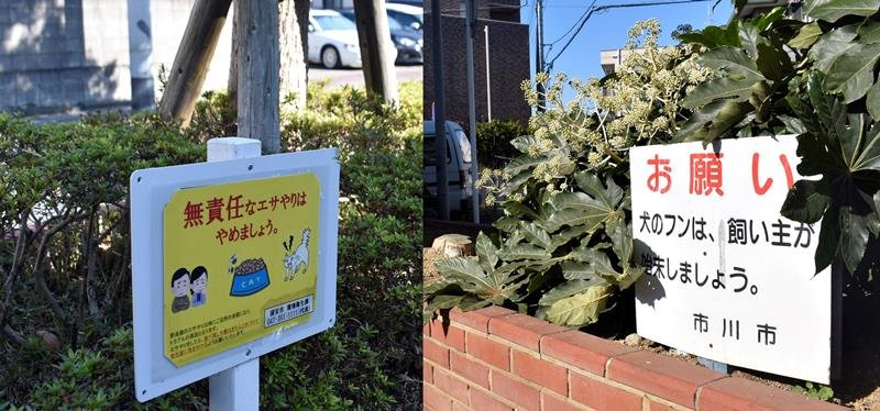 なぜ？市境ふさぐ花壇　「反対側出られず不便」　抜け道防ぐメリットも　浦安・市川　【ちば特　千葉日報特報部】