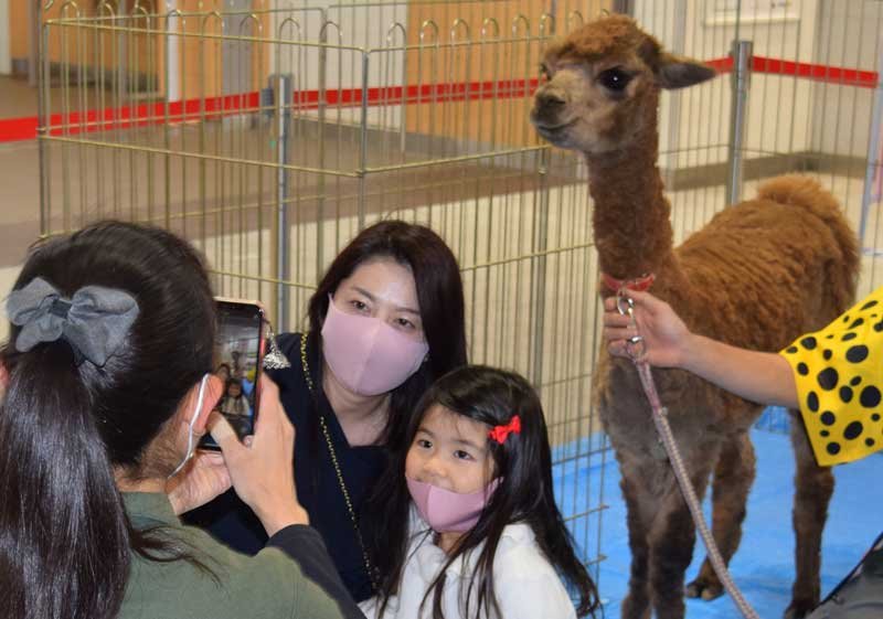 誇らしげ！？アルパカ駅長お出迎え　千葉・海浜幕張駅が一日限定の"動物園"に