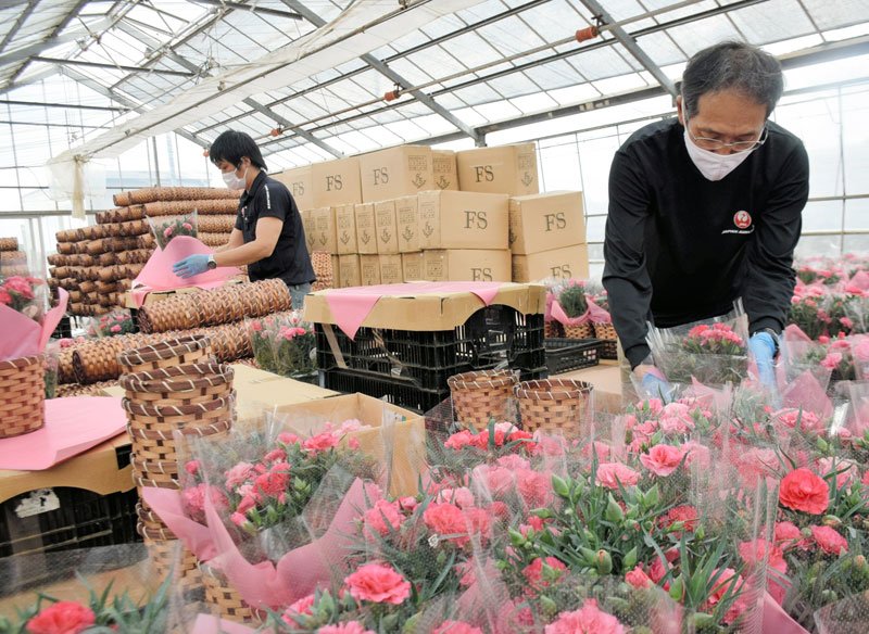 出荷作業に汗を流すＪＡＬグランドサービス社員ら＝２日、匝瑳市
