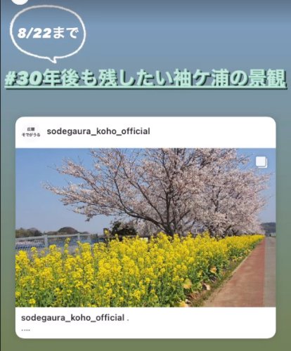 （袖ケ浦市広報担当のインスタグラムから）