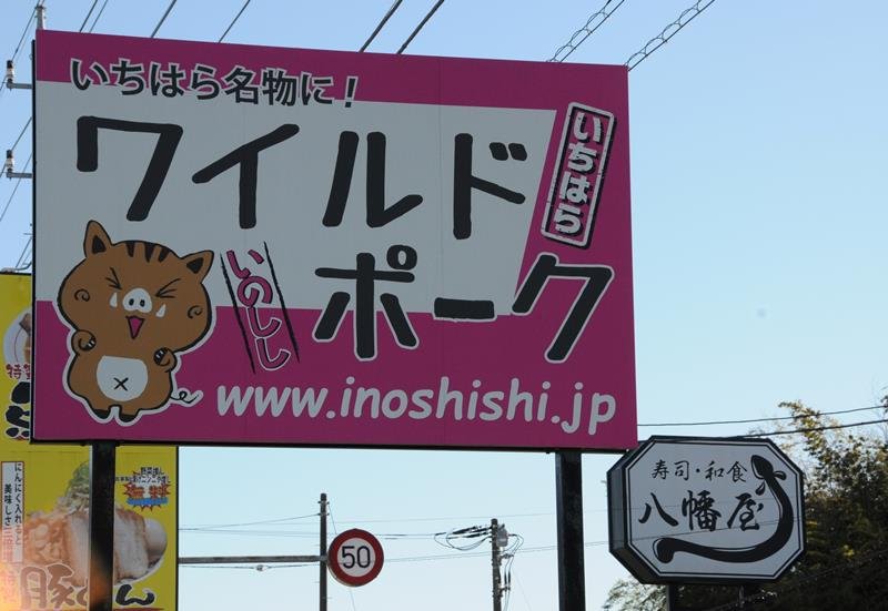 「ワイルドポーク」どうぞ　厄介者をわが街の名物に　いちはら推進部会（市原市）　【ジビエで活力　房総食文化創造】（１）