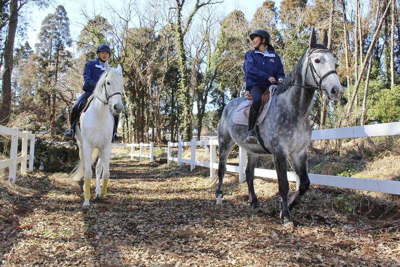 「引退馬の森」で生徒を乗せて歩く馬＝八街市(共同)
