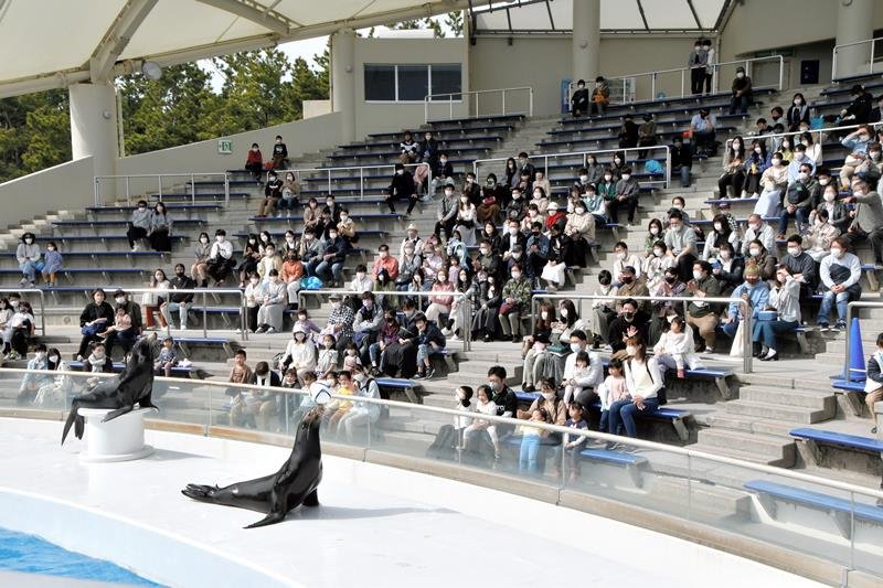 千葉市内の中学３年生が修学旅行で行く予定だった鴨川市の鴨川シーワールド
