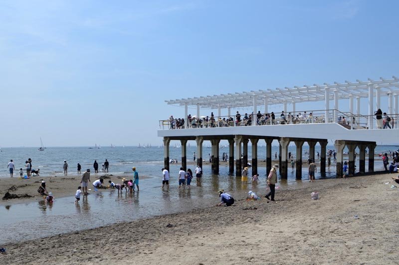 涼求め、海辺にぎわう　千葉県内、各地で夏日　稲毛海浜公園のウッドデッキ人気