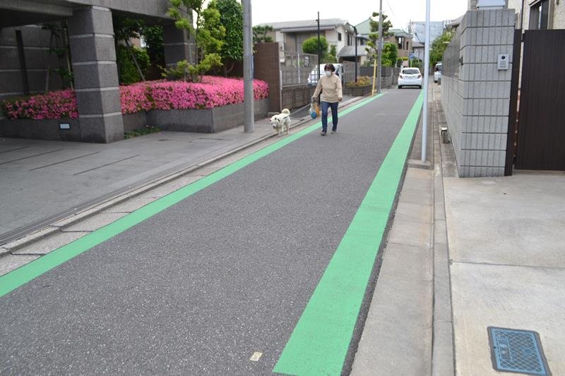 安全対策として路肩をカラー化した千葉市立登戸小の通学路＝２６日、千葉市中央区